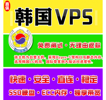 韩国VPS注册1024M推荐，站群网站源码
